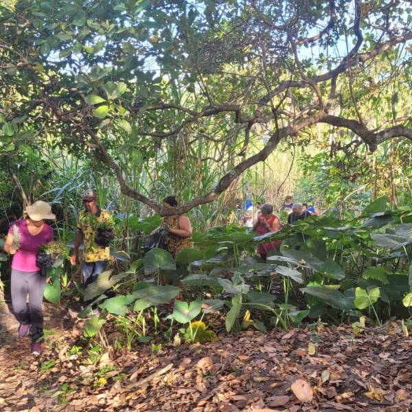 WhatsApp Image 2023-05-30 at 17.08.22.jpeg